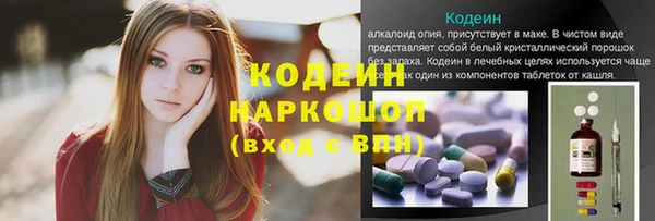 прущий лед Арсеньев