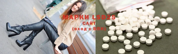 стафф Аркадак