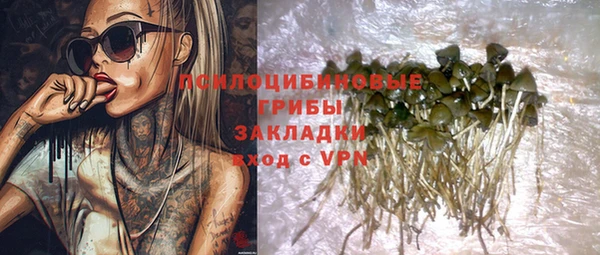 прущий лед Арсеньев