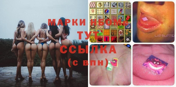 стафф Аркадак