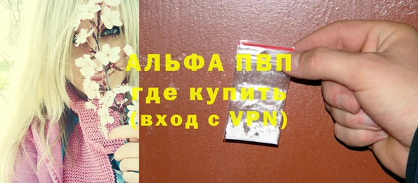 стафф Аркадак