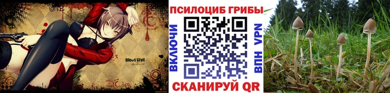 купить наркоту  мега зеркало  Псилоцибиновые грибы MAGIC MUSHROOMS  Сегежа 